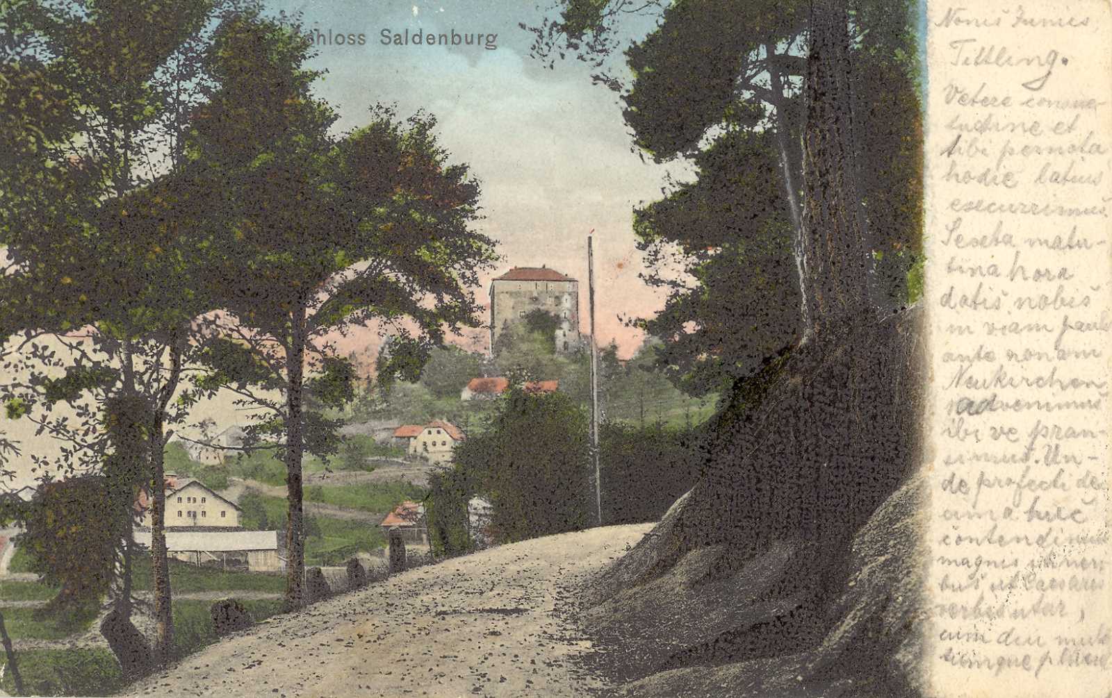 Blick zur Saldenburg.