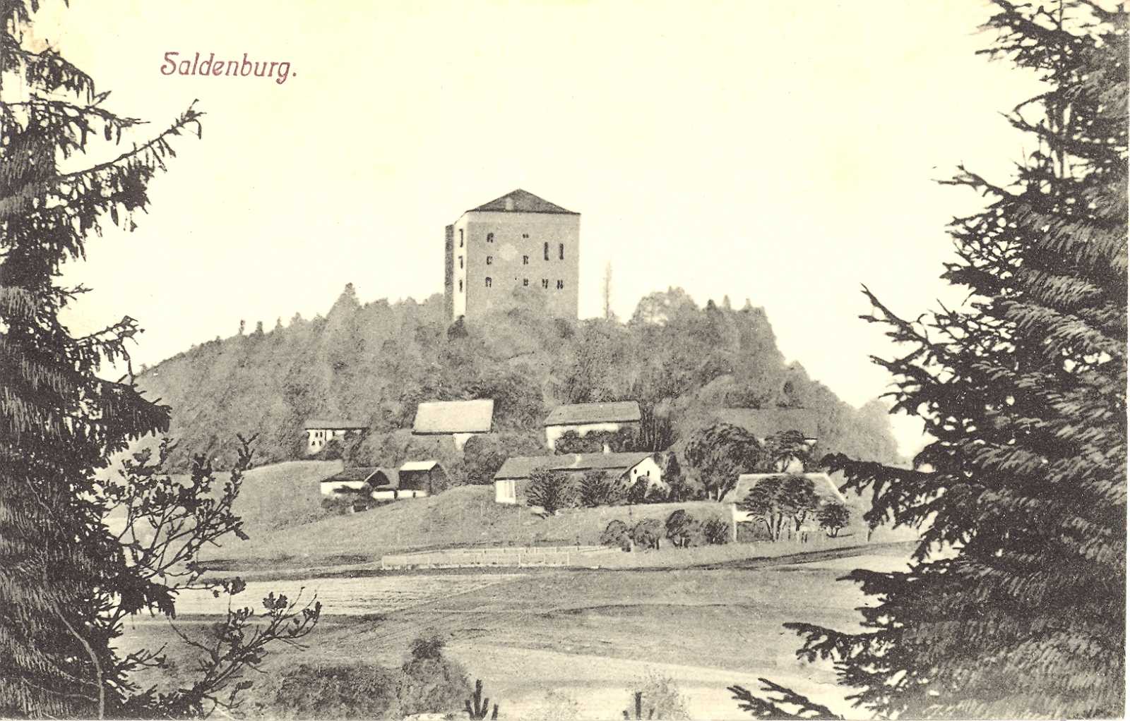 Blick auf die Saldenburg.