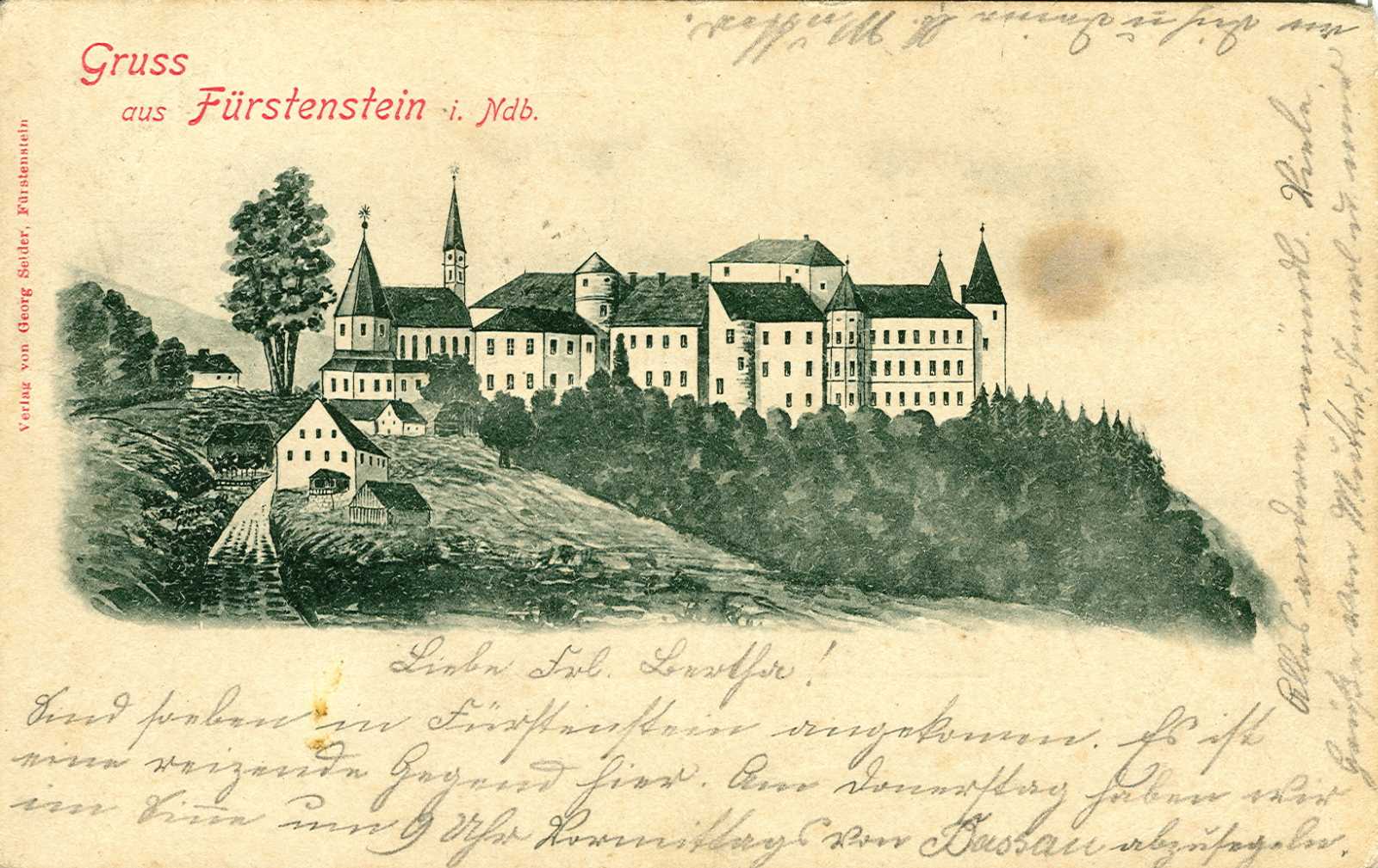Fürstenstein aus Richtung Osten.