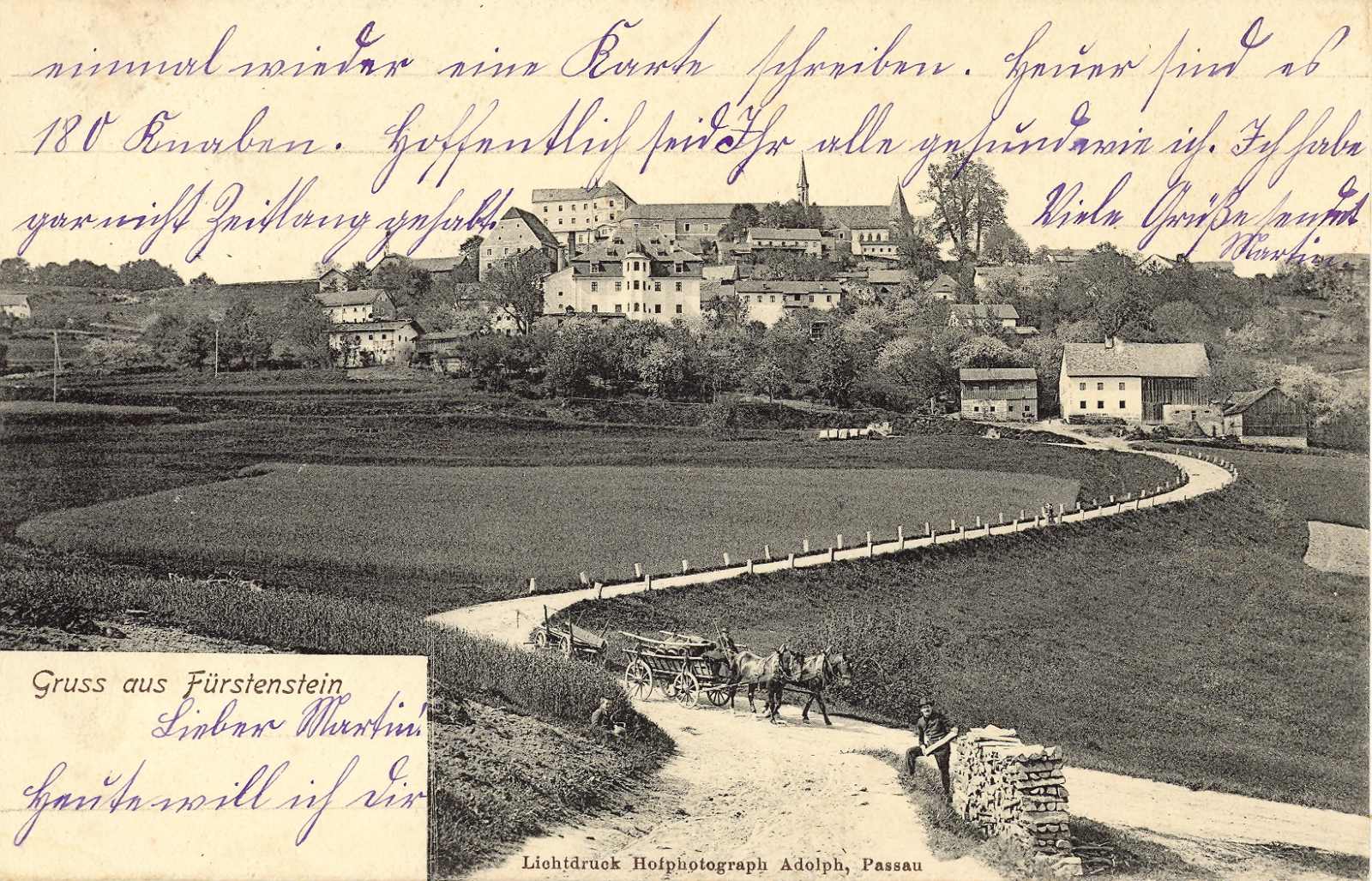 Fürstenstein aus Richtung Süden.