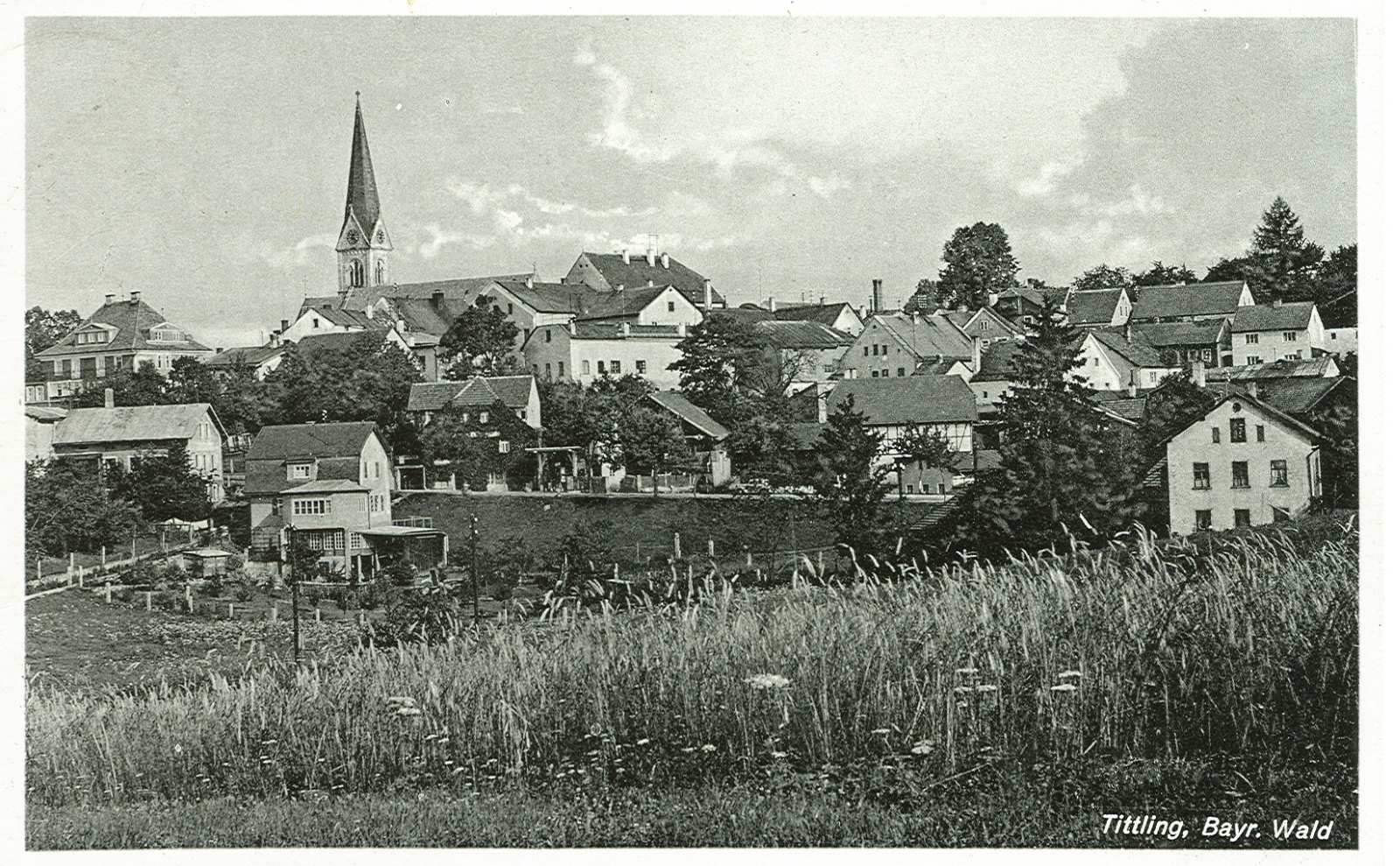 Blick von Osten zur Kirche.